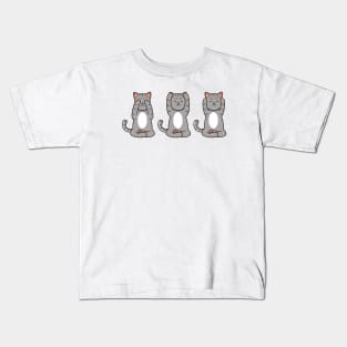 Three times cat at Reiki Kids T-Shirt